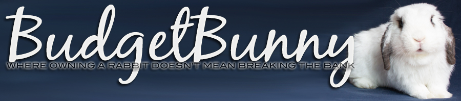 BudgetBunny