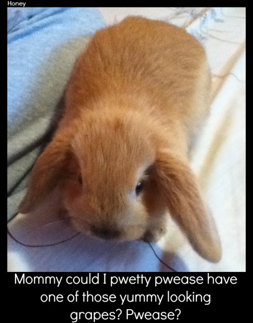 BundaySundayHoney