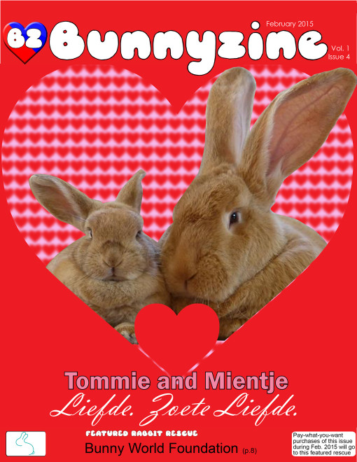 bunnyzine