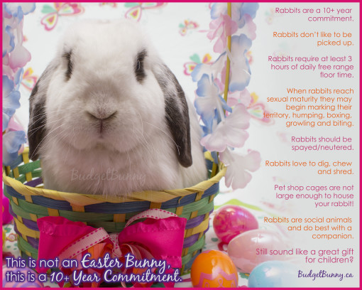 easter2016poster1