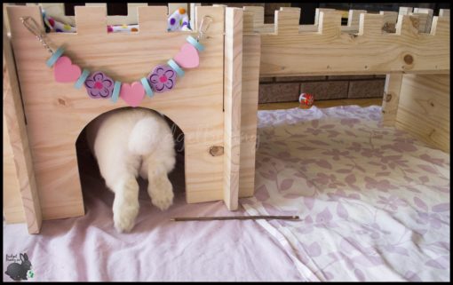 bunnybum